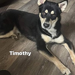Thumbnail photo of Timothee #1