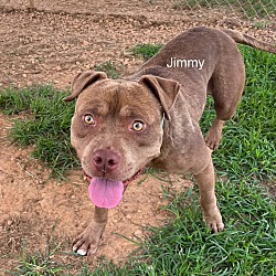 Thumbnail photo of Jimmy #2