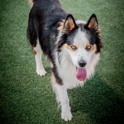 Thumbnail photo of COCO-A2159581 #2