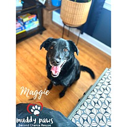 Photo of Maggie (Courtesy Post)