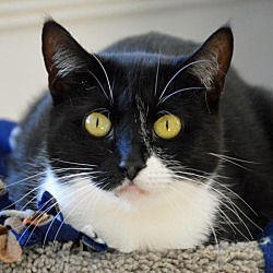 Photo of Donna Donor