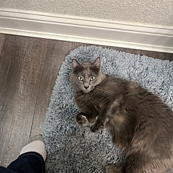 Photo of Shark Flower AKA Kiki