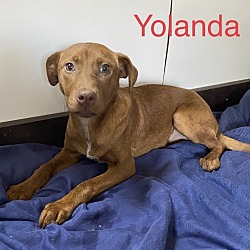 Photo of Yolanda