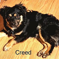 Photo of Creed