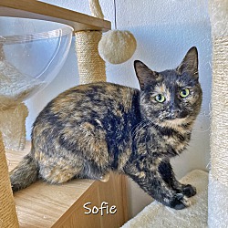 Thumbnail photo of Sofie #1