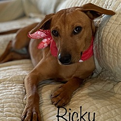 Thumbnail photo of Ricky #1