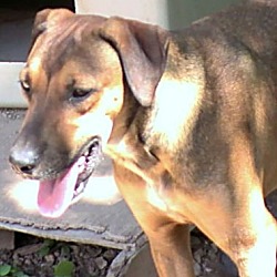 Photo of Benjamin