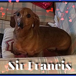 Thumbnail photo of Sir Francis #1
