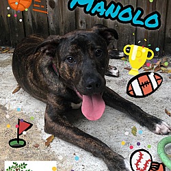Photo of Manolo