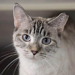 Photo of Mama