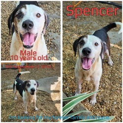 Thumbnail photo of Spencer #1