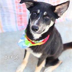 Photo of Beryl