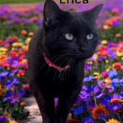 Thumbnail photo of Erica #1