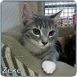 Photo of Zeke
