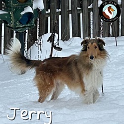 Thumbnail photo of Jerry #3