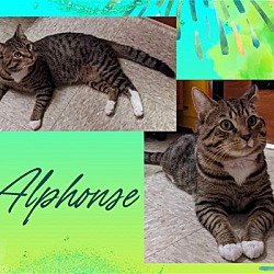 Photo of Alphonse