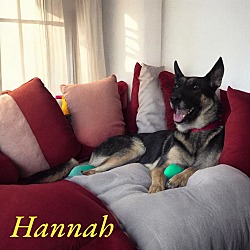 Thumbnail photo of Hannah II #4