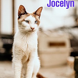 Photo of Jocelyn