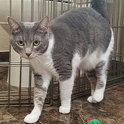 Thumbnail photo of Bernice #3