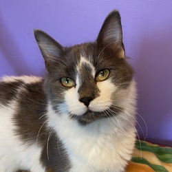 Photo of Homer