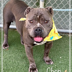 Photo of CHOP