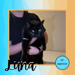 Thumbnail photo of Luna #2