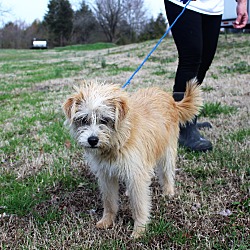 Thumbnail photo of Barbie~adopted! #3