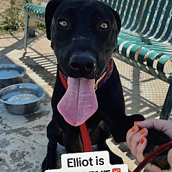Photo of Elliot