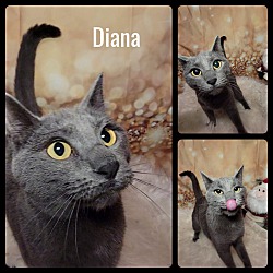 Photo of Diana