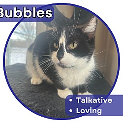 Photo of Bubbles