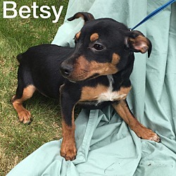 Thumbnail photo of Betsy #1