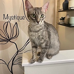 Photo of Mystique