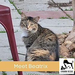 Thumbnail photo of Beatrix #1