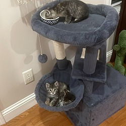 Photo of 1,2,3