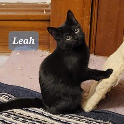 Photo of Leah