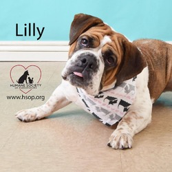 Thumbnail photo of Lilly #4