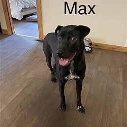 Photo of Max