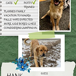 Photo of Hank