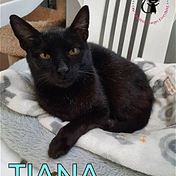 Photo of Tiana
