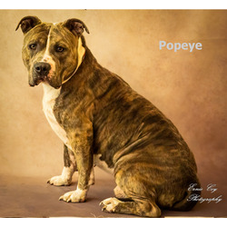 Photo of Popeye