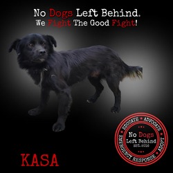 Thumbnail photo of Kasa 9862 #1