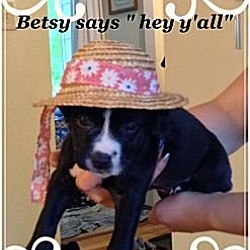 Thumbnail photo of Betsy #1