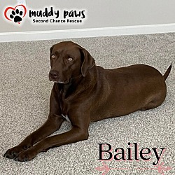 Photo of Bailey (Courtesy Post)
