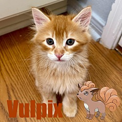 Photo of Vulpix