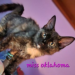 Thumbnail photo of Miss Oklahoma #1