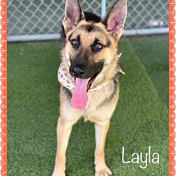 Thumbnail photo of LAYLA #2