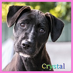 Thumbnail photo of Crystal #3