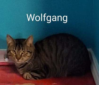 Photo of Wolfgang