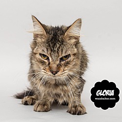 Thumbnail photo of Gloria #2