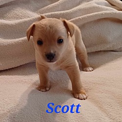 Photo of Scott